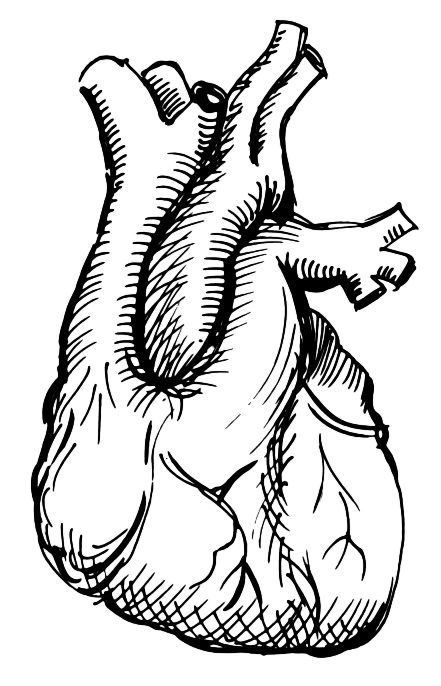 QGEN - Kardiovaskulární onemocnění